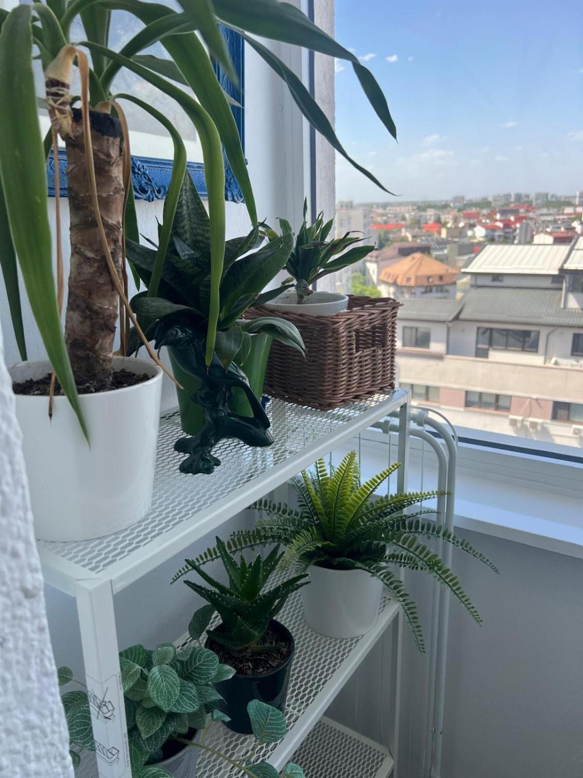 1Bdr Apartment Perla 225 부쿠레슈티 외부 사진